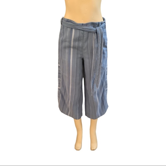 Anthropologie Blue Striped Capris - Picture 1 of 7